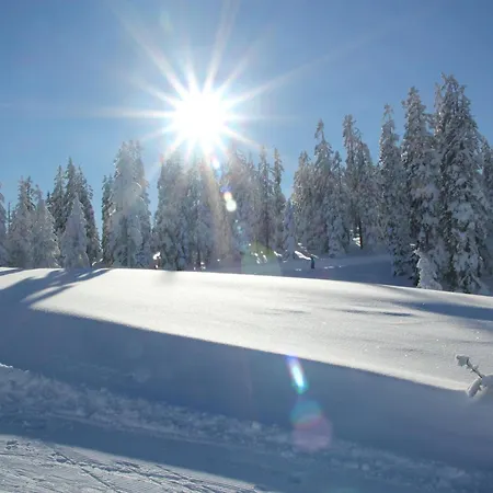 弗利恩拉赫雷托夫酒店 招待所 费尔兹姆斯